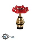 تصویر بالاتنه سر شیر برنجی